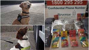 Drugs destined for Offaly intercepted by sniffer dogs Bailey and Sam