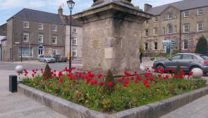 Birr Councillors pleased with Destination Town progress