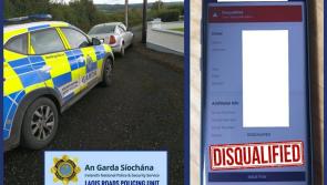 14 previous disqualifications - You'll never guess what he did at garda checkpoint