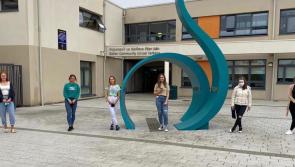 Positive reaction in Offaly to Leaving Cert results