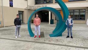  Offaly Leaving Cert students' calculated grades 'very fair'