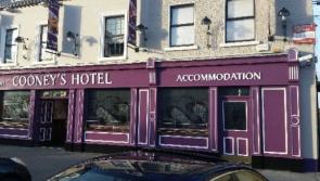Man who caused over €20k damage at hotel in Midlands fined €250 