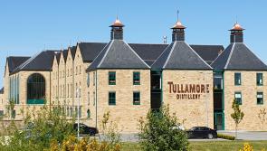 UPDATE: Up to 14 redundancies expected with Offaly tourist attraction closure