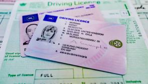 Lowry questions European proposals for older drivers