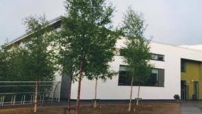 Large Tullamore school to get major extension after plans approved