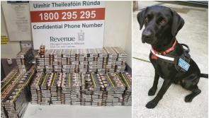 'Obi one, criminals nil' - Revenue detector dog uncovers huge haul of illegal cigarettes 