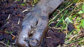 History Podcast looks into gruesome Offaly murder