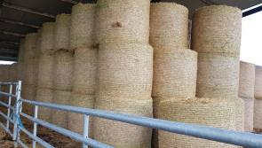 Suspension of straw incorporation measure must be scrapped – Lowry