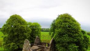 Pilgrimage from Roscrea to Mass at Monaincha Abbey will be a very poignant event