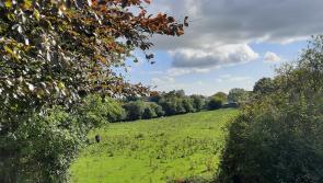 No reply from HSE on proposed Birr Primary Care plans, councillors told
