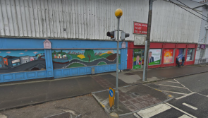 Bats won't stand in way of Offaly eyesore's demolition