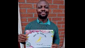 Offaly author publishes second children's book
