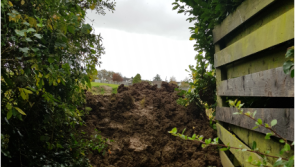 Residents unhappy as estate access to Offaly exercise spot is blocked 