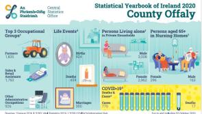 Farming is top occupation in Offaly, CSO Yearbook reports