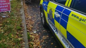 Ah here! Garda&iacute; stop vehicle that had NEVER been taxed