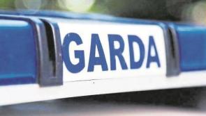 Sledgehammer among weapons seized after brutal killing of woman in Offaly