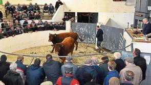 Mart closures will be 'inevitable consequence' if trade remains online 