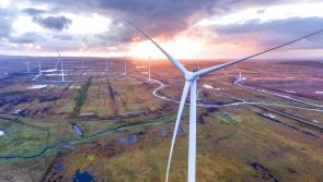 Offaly council under pressure to drop wind farm buffer zones