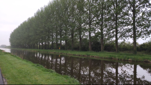 Calls for dividing line between walkers and cyclists along canal greenway