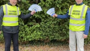 Tullamore Lions join in worldwide diabetes awareness campaign