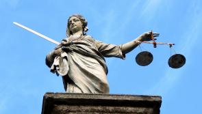 Offaly TD denies bullying allegations