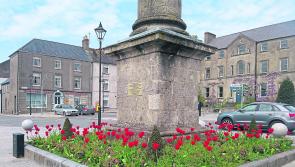 Birr Councillors request funding increase to reflect inflation
