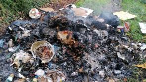 SHOCKING: Rubbish illegally dumped and burnt outside one Offaly town