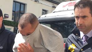 Offaly court told Brazilians were not on murder mission