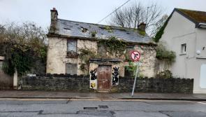 House purchase clears way for exciting new development in Offaly