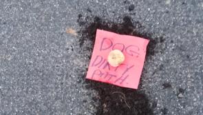 Residents of Offaly town  'upset' by dog fouling around the town 