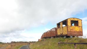 Two Offaly bogs lined up as part of major peatland restoration project