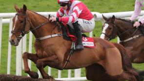 Final declarations released for Thursday's Thyestes Chase at Gowran Park