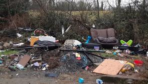 Life for residents in Offaly estate is 'absolute hell' with assaults, bullying and intimidation