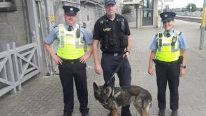 Offaly drug addicts using trains to travel to Dublin to get lockdown fix