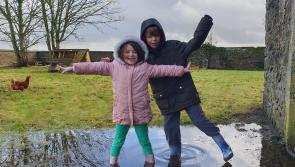 Are you up for the Laois #SplashIntoSpringChallenge?