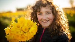 OPINION: Arrival of Spring provides hope dark days of Covid coming to an end