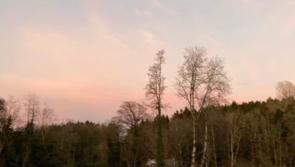 Students of Offaly secondary school take part in well-being passport challenge