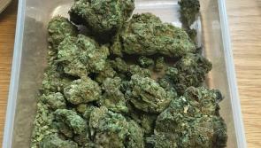 Man arrested for cannabis possession by Offaly Gardai