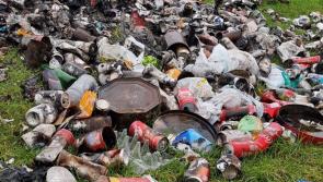 Offaly council praised for clean-up work after illegal dumping