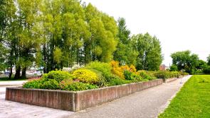 Hard work the recipe for Tullamore's success in anti-litter league