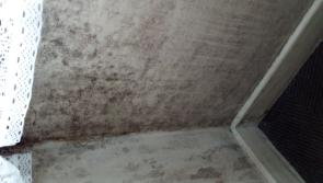 Offaly tenant in damp conditions suffering health issues