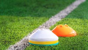 Offaly GAA club gets go ahead for large all weather pitch with floodlights