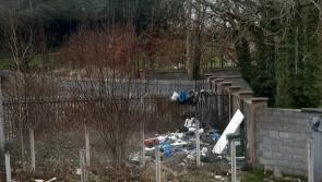 Almost 90 litter and waste complaints investigated in Offaly
