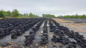Offaly Green Minister says 'no ultimatums' on turf