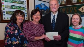 Investment needed to turn field into state-of-the-art Offaly facility