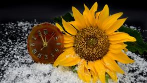 Setting the clock for our wellbeing - Emma Coonan