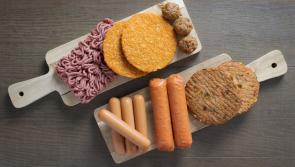 New report reveals one in four vegetarian meat substitute products are not a source of protein