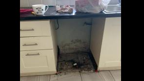 Homeowner devastated as tenants trash Offaly house 