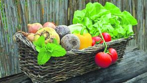 Minister of Agriculture states that Agri-Food Strategy envisions Ireland to be a 'world leader' in Sustainable Food Systems within the next ten years