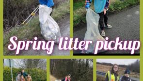 Offaly groups join forces in big litter clean-up